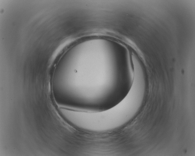 X0000062841368200601272005