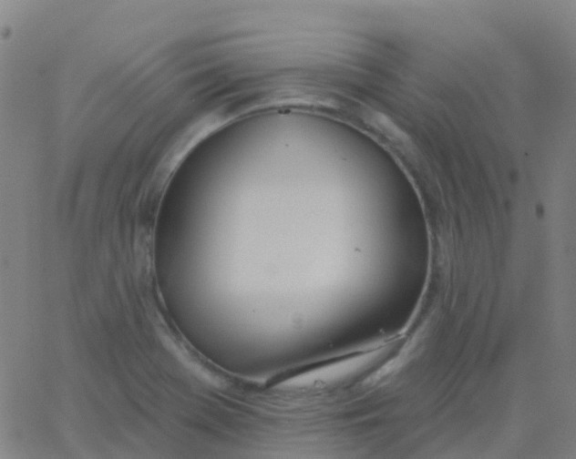 X0000062841369200601272005