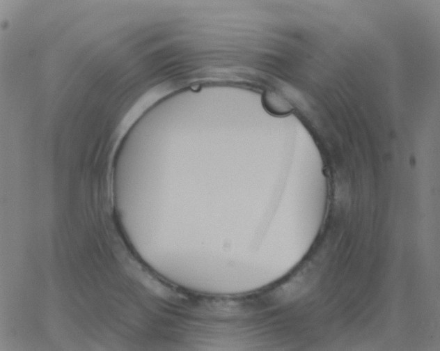 X0000062841370200601272005