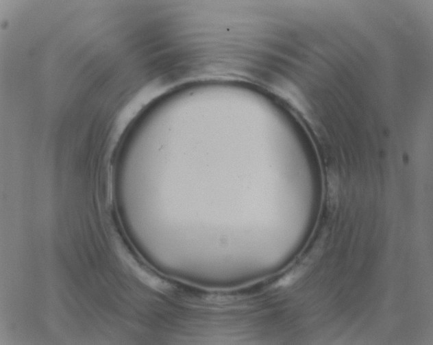 X0000062841371200601272005