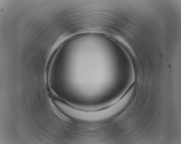 X0000062841372200601272005