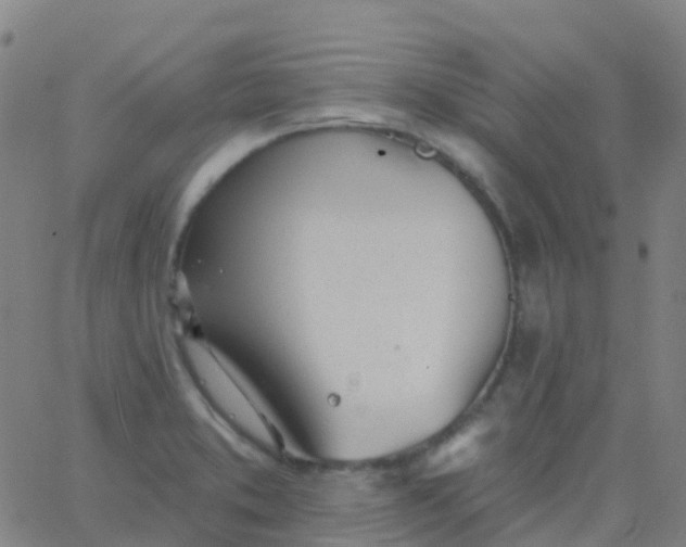 X0000062841373200601272005