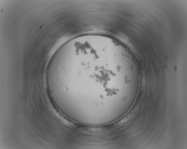 X0000062841375200601272005