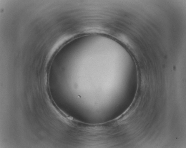 X0000062841376200601272005