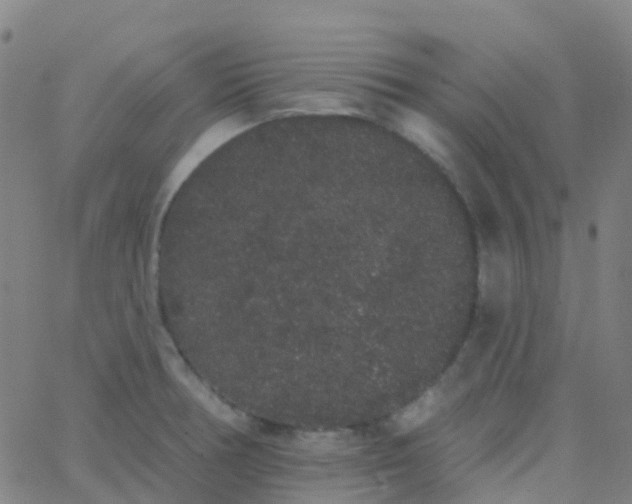 X0000062841378200601272005