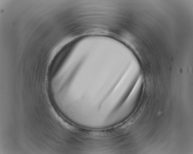 X0000062841379200601272005