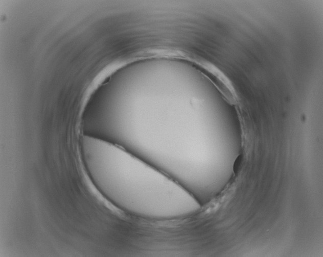 X0000062841381200601272005