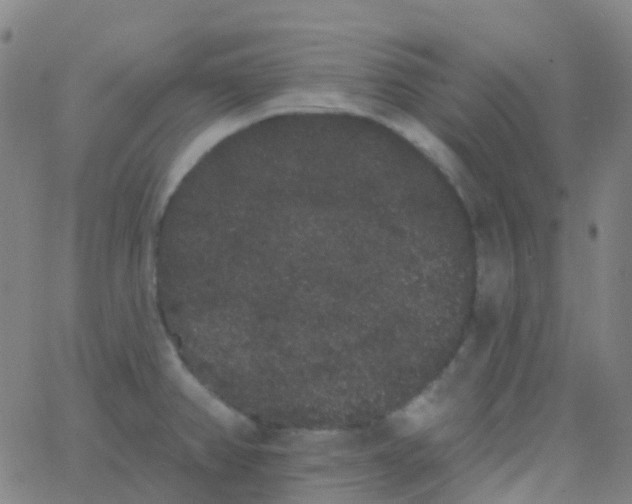 X0000062841382200601272005