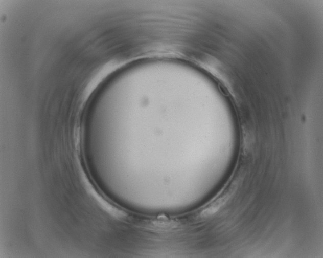 X0000062841383200601272005