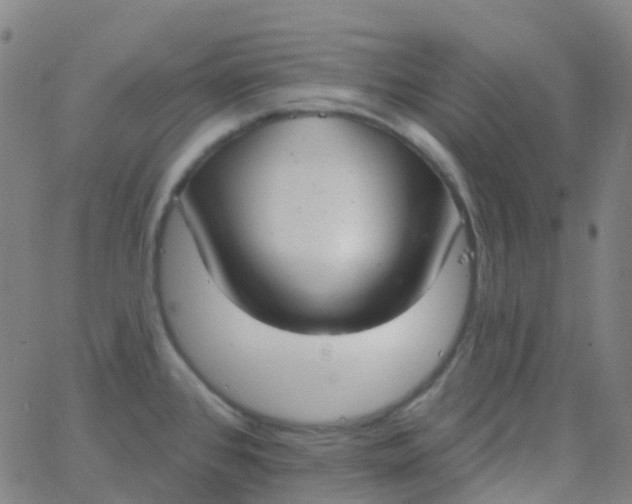 X0000062841384200601272005