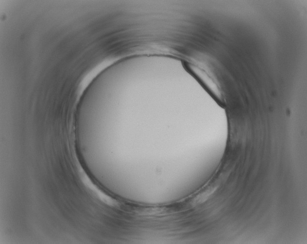 X0000062841387200601272005