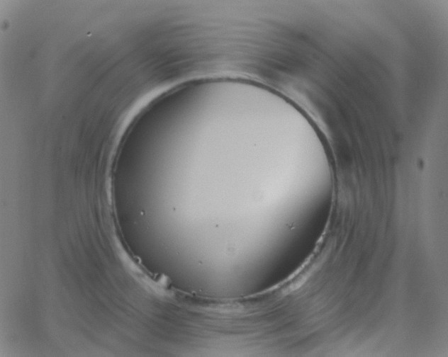 X0000062841388200601272005