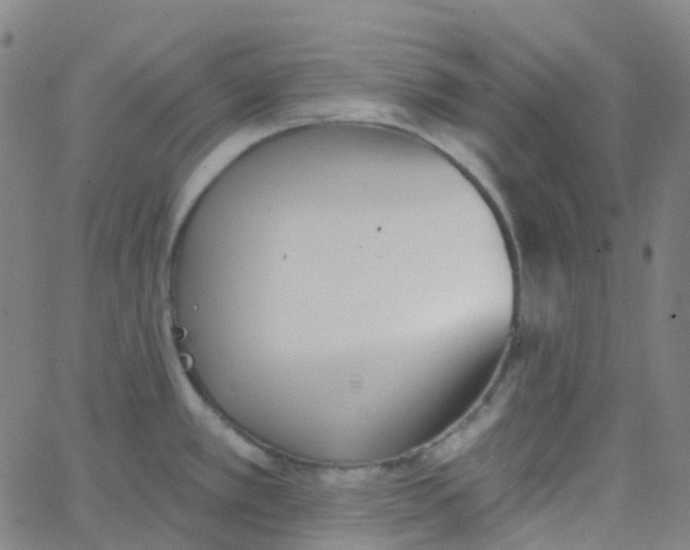 X0000062841389200601272005