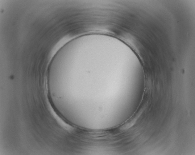 X0000062841391200601272005