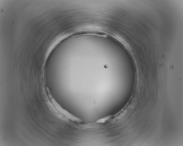 X0000062841392200601272005