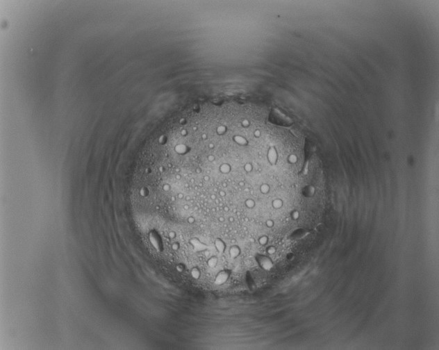 X0000062841393200601272004