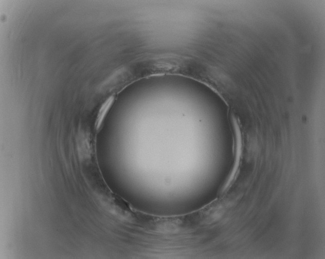 X0000062841394200601272004