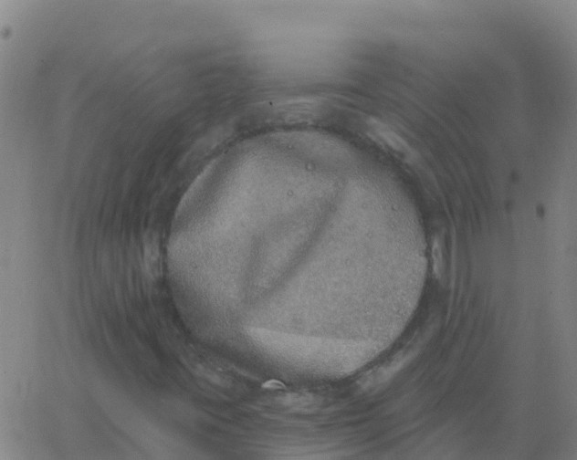 X0000062841395200601272004