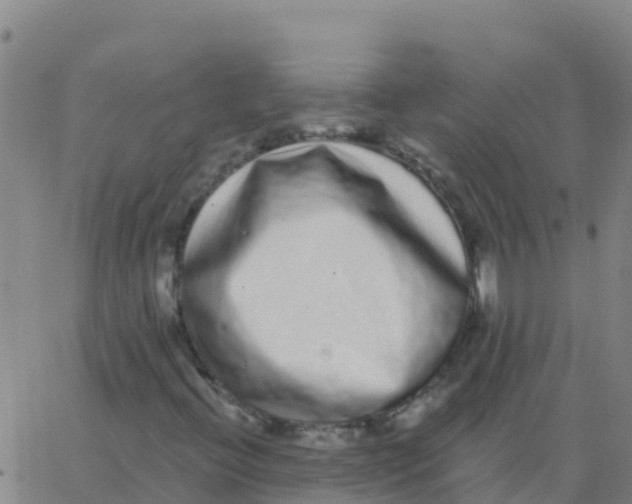 X0000062841396200601272004