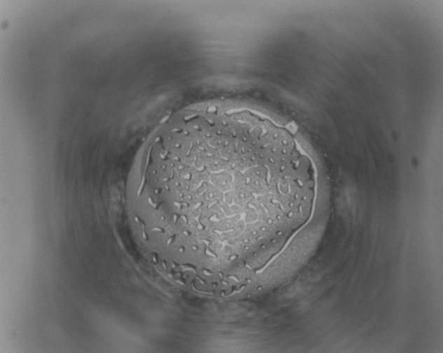 X0000062841397200601272004