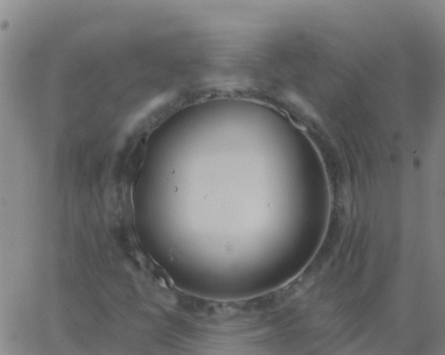 X0000062841398200601272004