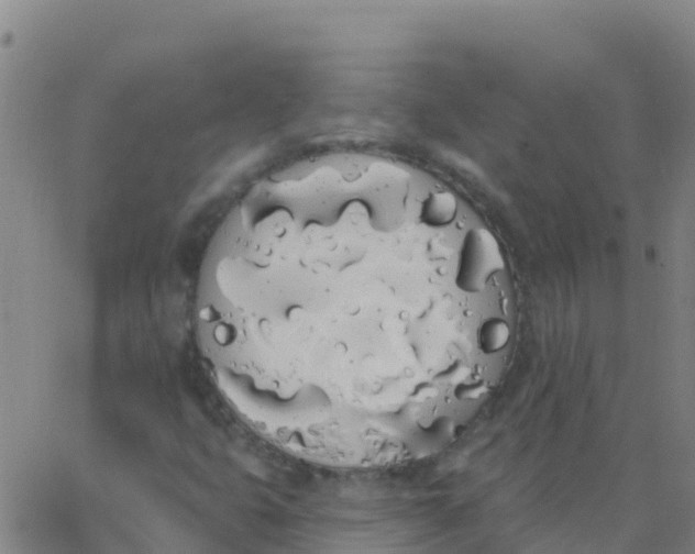 X0000062841399200601272004