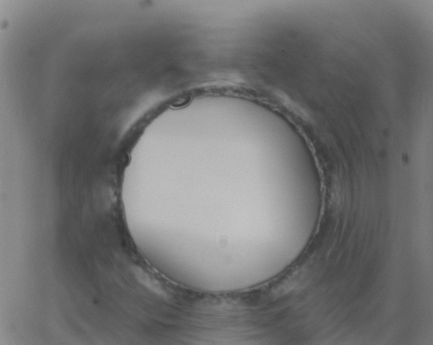 X0000062841400200601272004