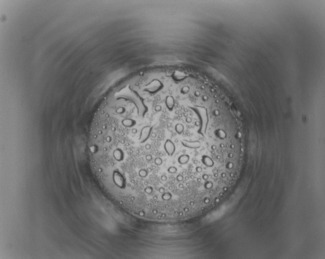 X0000062841401200601272004