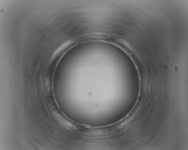 X0000062841402200601272004