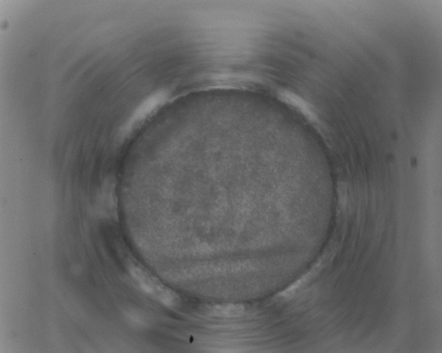 X0000062841403200601272004