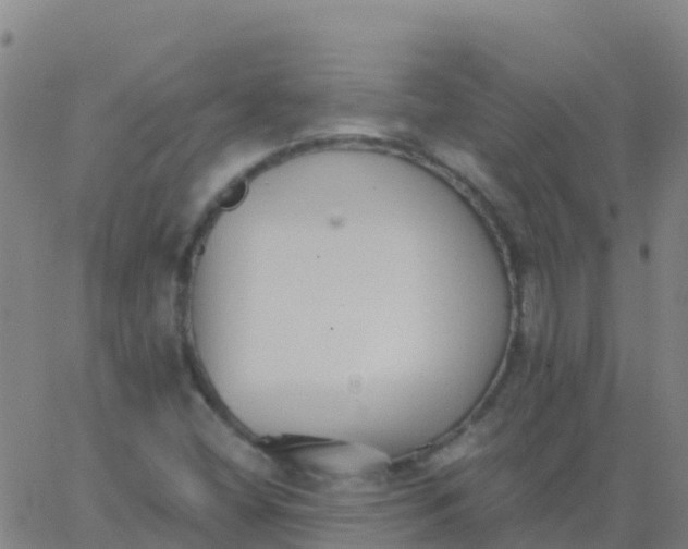 X0000062841404200601272004