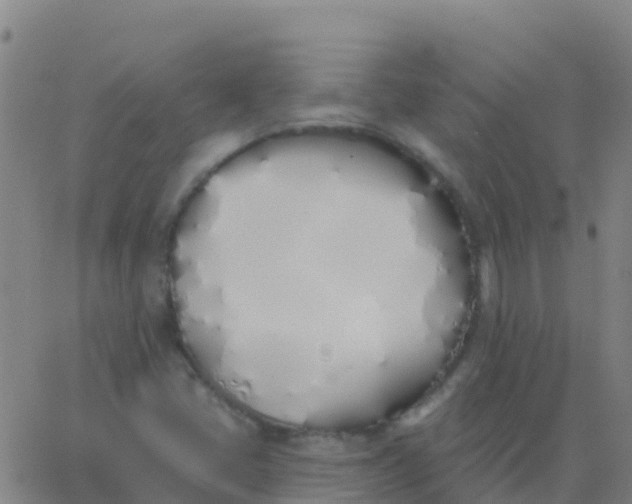 X0000062841405200601272005