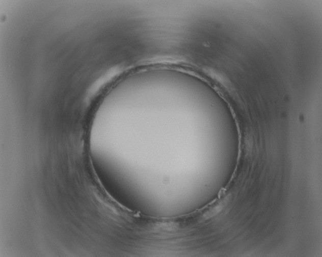 X0000062841406200601272005