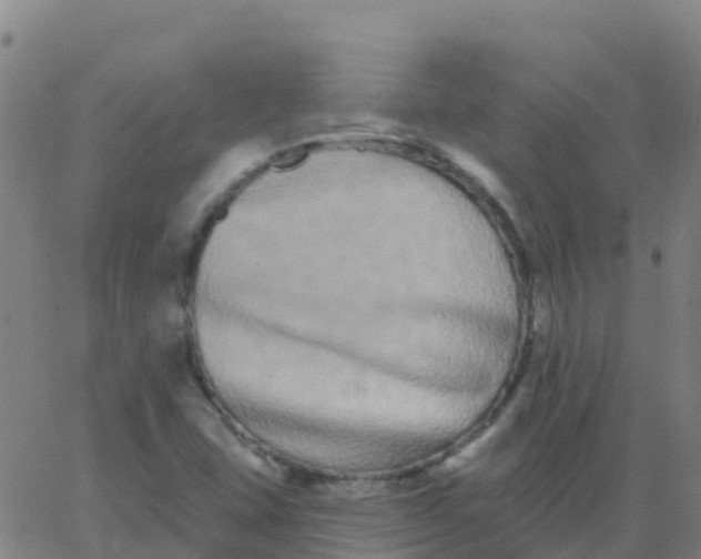 X0000062841407200601272005