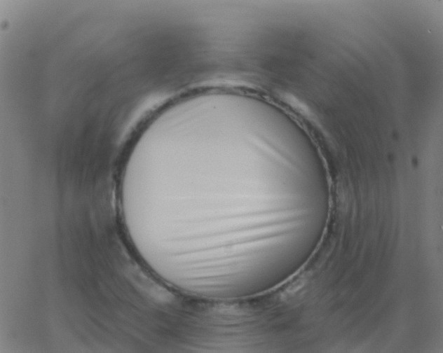 X0000062841408200601272005