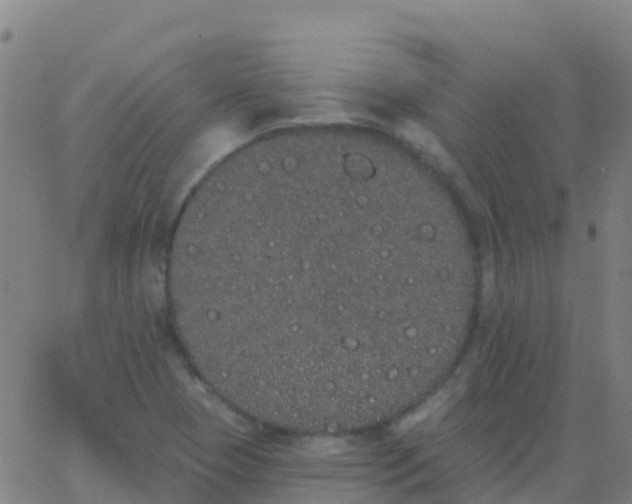 X0000062841409200601272005