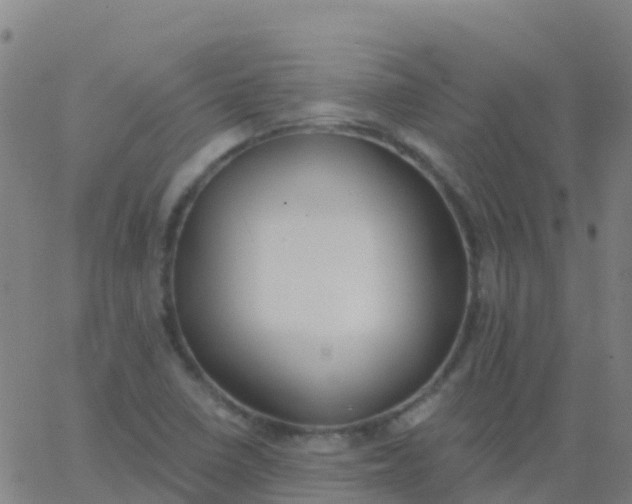 X0000062841410200601272005