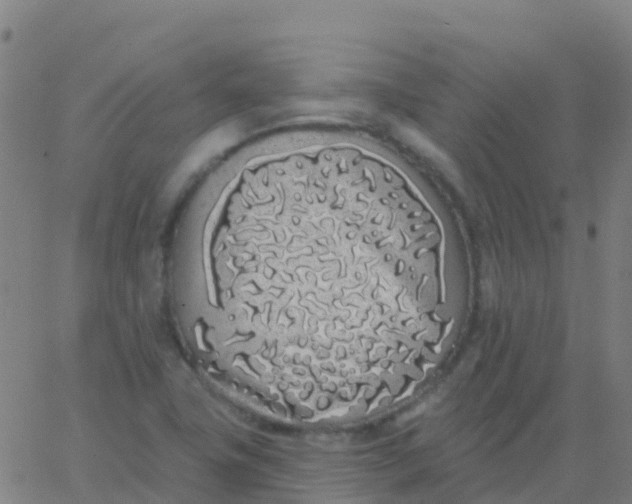 X0000062841411200601272005