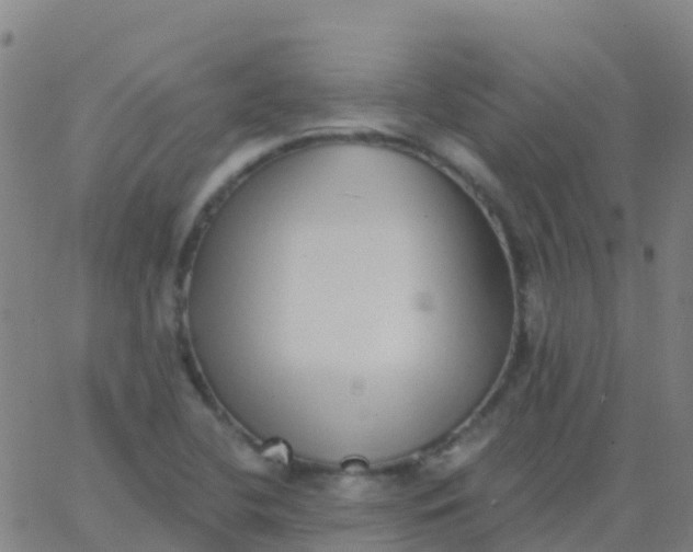 X0000062841412200601272005