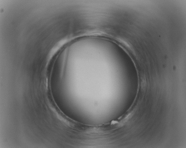 X0000062841414200601272005