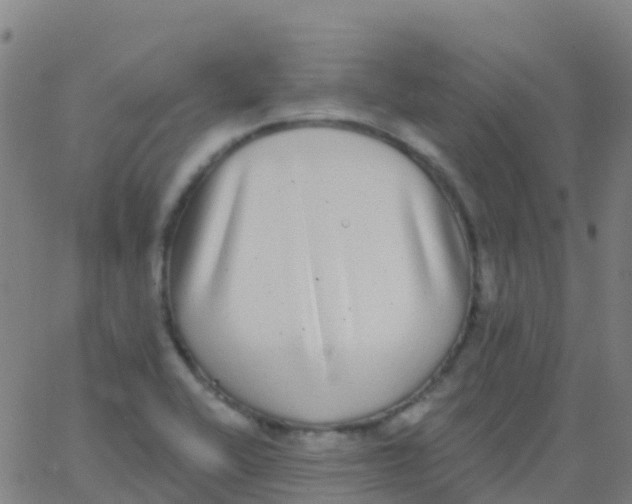 X0000062841416200601272005