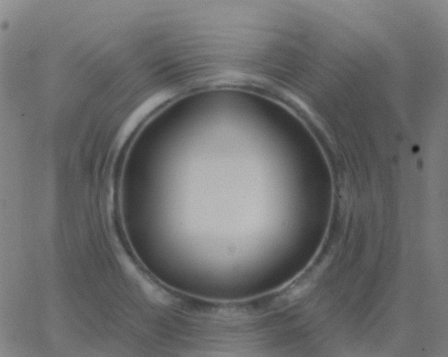 X0000062841418200601272005