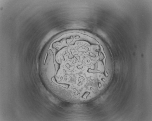 X0000062841419200601272005