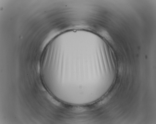 X0000062841420200601272005