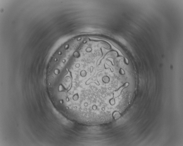 X0000062841421200601272005