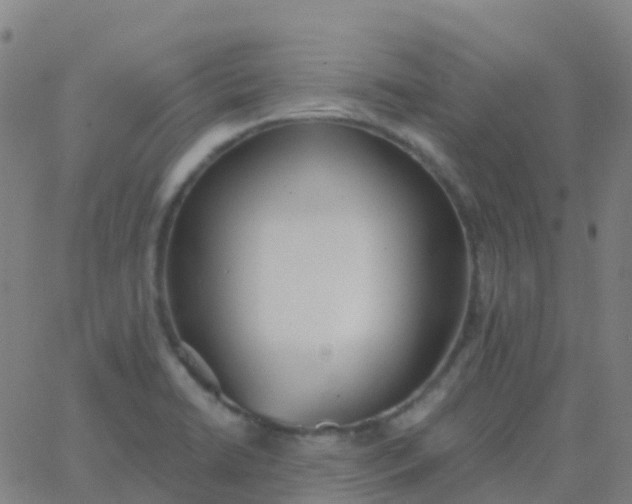 X0000062841422200601272005