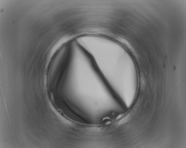 X0000062841424200601272005