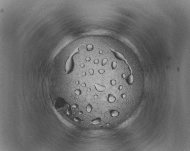 X0000062841425200601272005