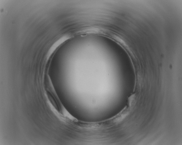 X0000062841426200601272005