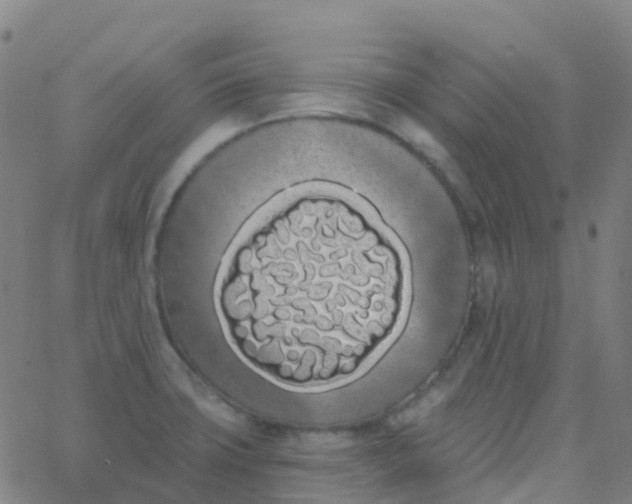 X0000062841427200601272005